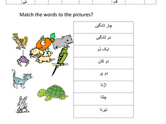 Animals in Urdu