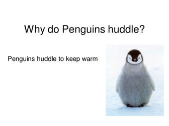 Why do pengiuns huddle?
