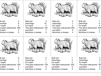 Adaptation Top Trumps