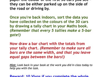 Tally/bar charts - homework practical activity