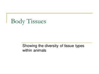 Body Tissues