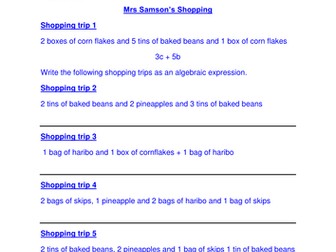 Shopping trip algebra