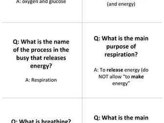 Respiration Question Cards and Loop Game