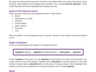 Digestion - factsheet