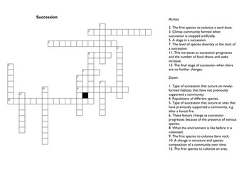 Succession Crossword