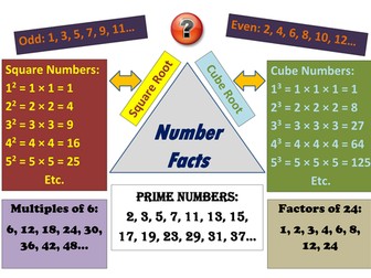 Collective Memory - Number Facts