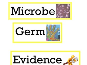 Vocabulary Display - Unit 6B: Microorganisms