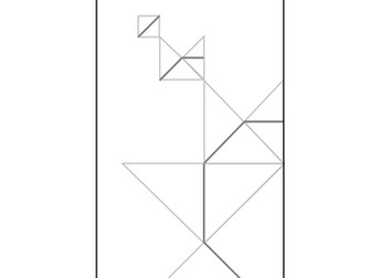 Ammonite Shell - Transformations