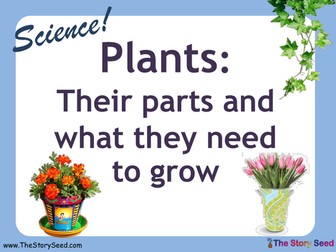Plants : What they need to grow