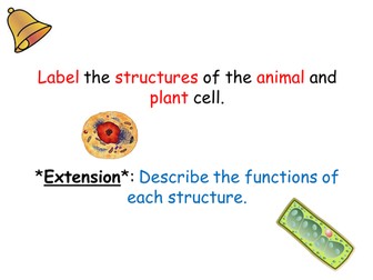 Bacteria (B2 edexcel)