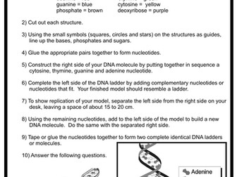 DNA (B2 edexcel)