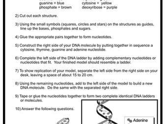 DNA (B2 edexcel)