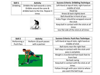 Hockey Self & Peer Assessment
