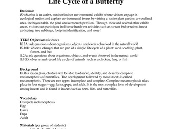 Lifecycle of a Butterfly