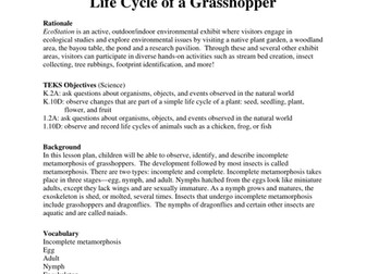 Life Cycle of a Grasshopper