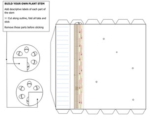 Build your own plant stem
