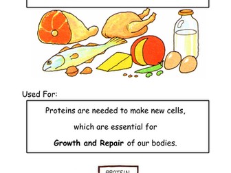 Pupil Led Learning activity - NUTRIENTS 8Ab