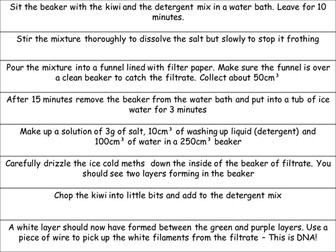 Extracting DNA (B2 Edexcel)