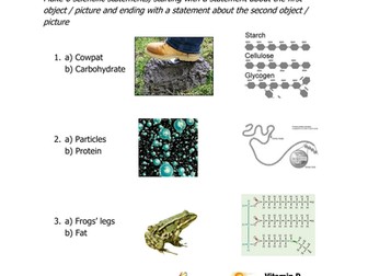 Food nutrients extension activity