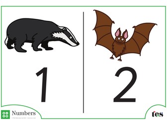Number Cards - Nocturnal Animal Theme 1-100