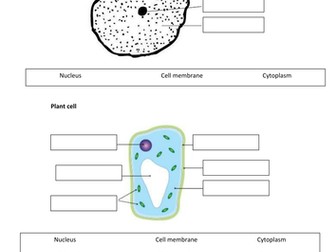What's in a cell?