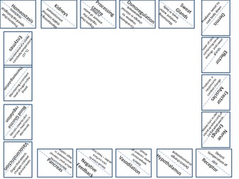 Homeostasis Card Sort (Loop Frame)