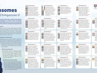 Chimpanzee and Human Chromosomes – learning pack