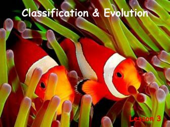 Classification (B1 edexcel)