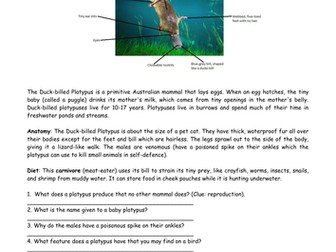 Vertebrates and Invertebrates (B1 edexcel)