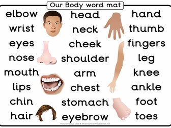 Our Body - Word Mat