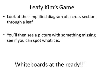 Cross Section through a leaf Kim's Game