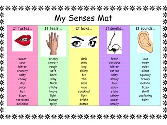 Senses - Adjectives to describe
