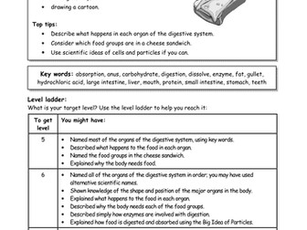 The journey of a ham and cheese sandwich essay 06 picture