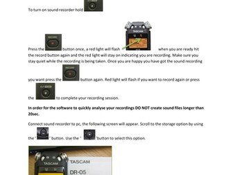 Primate Communication