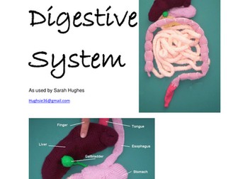 Tactile models of the digestive system