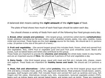 A Balanced Meal - Information Sheet