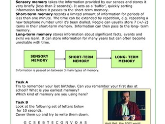 Brain: Thanks For The Memory Worksheet