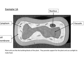 Cells level assessed task marking exercise