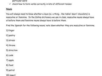 Using a Spanish Dictionary