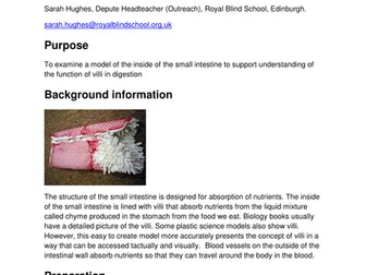 Function of Villi in the Small Intestine.