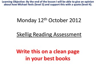 Skellig Reading Assessment