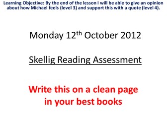 Skellig Reading Assessment