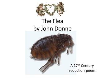The Flea Poem Analysis