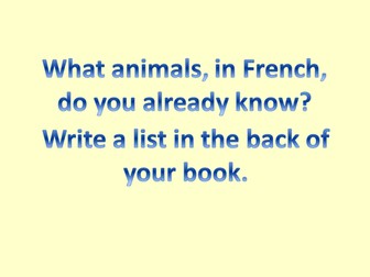 Mes animaux