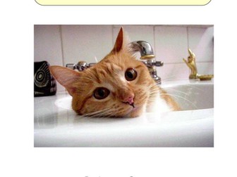 Phase 2 Phonic reading books (1-6)