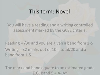 The Curious Incident of the Dog in the Night-time