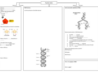 Nucleic acids summary worksheet