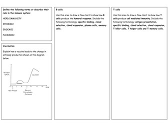 Immune response revision summary worksheets