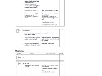 NEW AQA B2.5 Proteins and enzymes revision aid