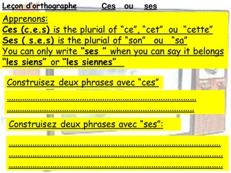 viewing habits and opinions